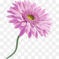 װ�λ���ʸ��ͼ�ز�-������