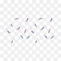 漂浮多彩羽毛-空若网 漂浮多彩羽毛-空若网