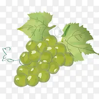 ��ɫ����ʸ����ͨˮ��-������