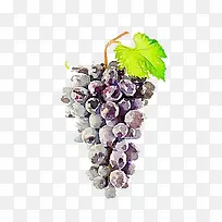 Ë®²ÊÆÏÌÑ-¿ÕÈôÍø Ë®²ÊÆÏÌÑ-¿ÕÈôÍø