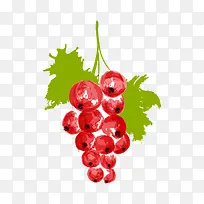 �ֻ�ˮ����������ز�-������