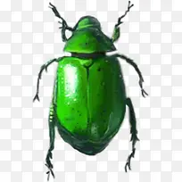 卡通虫鸟卡通动物元素-空若网 卡通虫鸟卡通动物元素-空若网