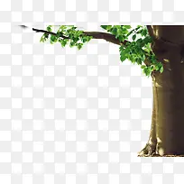 ��-������