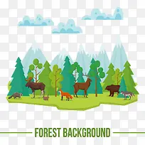 自然生态动物世界-空若网 自然生态动物世界-空若网