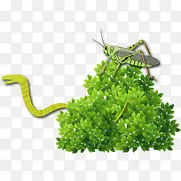 矢量手绘昆虫-空若网 矢量手绘昆虫-空若网