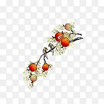 工笔画花鸟画下载-空若网 工笔画花鸟画下载-空若网