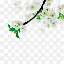 ��ɫ���滨-������