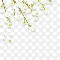 白色的梨花-空若网 白色的梨花-空若网