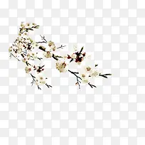 ��֦��ʢ�����滨-������