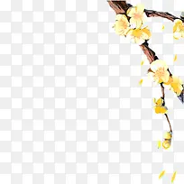 梨花素材-空若网 梨花素材-空若网