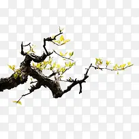 春意盎然-空若网 春意盎然-空若网