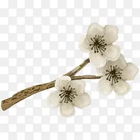 手绘花朵-空若网 手绘花朵-空若网