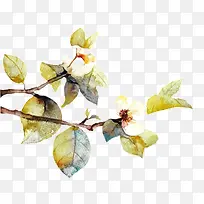 �滨��֦-������