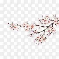 �滨-������