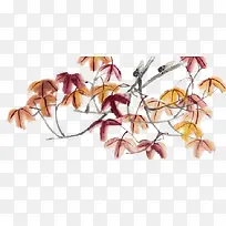 水彩画枫叶-空若网 水彩画枫叶-空若网