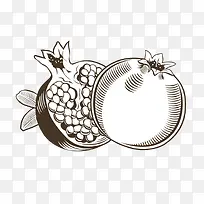 手绘石榴-空若网 手绘石榴-空若网