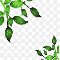 夏日嫩绿树枝叶-空若网 夏日嫩绿树枝叶-空若网