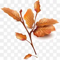 ÇïÌì¸É¿ÝµÄÊ÷Ö¦ÓëÖ¦Ò¶-¿ÕÈôÍø ÇïÌì¸É¿ÝµÄÊ÷Ö¦ÓëÖ¦Ò¶-¿ÕÈôÍø