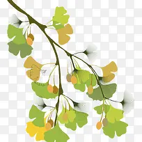 ʸ����ͼ����Ҷ��֦��Ҷ��-������