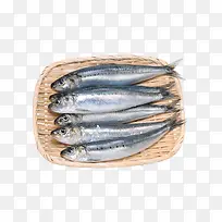 实物新鲜海产品鲅鱼-空若网 实物新鲜海产品鲅鱼-空若网