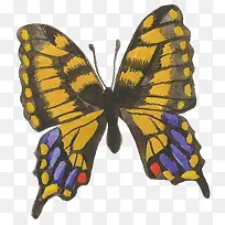 卡通可爱小动物装饰设计动物头像-空若网 卡通可爱小动物装饰设计动物头像-空若网