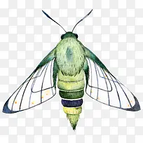 卡通可爱小动物装饰设计动物头像-空若网 卡通可爱小动物装饰设计动物头像-空若网