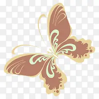 ��ͨ�ɰ�С����װ����ƶ���ͷ��-������