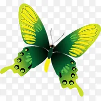 卡通可爱小动物装饰设计动物头像-空若网 卡通可爱小动物装饰设计动物头像-空若网