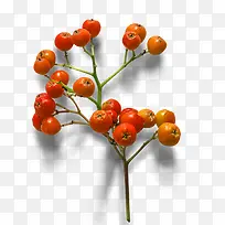产品实物山楂素材-空若网 产品实物山楂素材-空若网