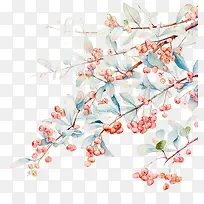 山楂树枝小清新素材-空若网 山楂树枝小清新素材-空若网