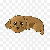 伤心的泰迪-空若网 伤心的泰迪-空若网