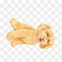 �ɰ���̩�Ϲ�-������