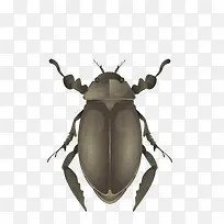 矢量绿色逼真昆虫-空若网 矢量绿色逼真昆虫-空若网