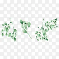 清新水墨树枝绿叶合集-空若网 清新水墨树枝绿叶合集-空若网
