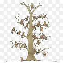 ���ϵĺ���-������