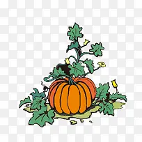 手绘南瓜藤免抠下载-空若网 手绘南瓜藤免抠下载-空若网