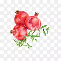 石榴,水果,食品,糕点,糖果,石榴-空若网 石榴,水果,食品,糕点,糖果,石榴-空若网