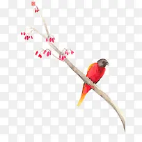 ºìɫСÄñ-¿ÕÈôÍø ºìɫСÄñ-¿ÕÈôÍø