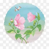 蜻蜓-空若网 蜻蜓-空若网