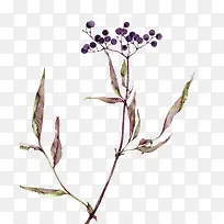 С����-������