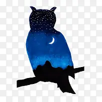 猫头鹰-空若网 猫头鹰-空若网