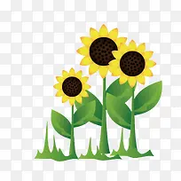 绿色向日葵-空若网 绿色向日葵-空若网