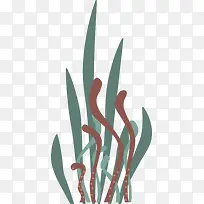 世界海洋日飘舞的海草-空若网 世界海洋日飘舞的海草-空若网