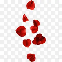飘舞红色心形花瓣-空若网 飘舞红色心形花瓣-空若网