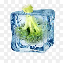 冰冻蔬菜-空若网 冰冻蔬菜-空若网