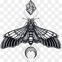 手绘创意昆虫-空若网 手绘创意昆虫-空若网