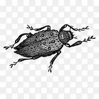 ��ɫ�ֻ��������-������