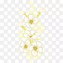 花卉设计切花枝植物茎牵牛花-空若网 花卉设计切花枝植物茎牵牛花-空若网