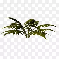 ���ƿ�2016�ղ�Ҷ����������-����-������