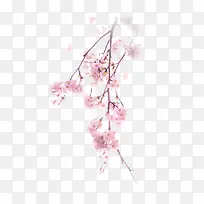 ��ɫ÷������ֲ��-������